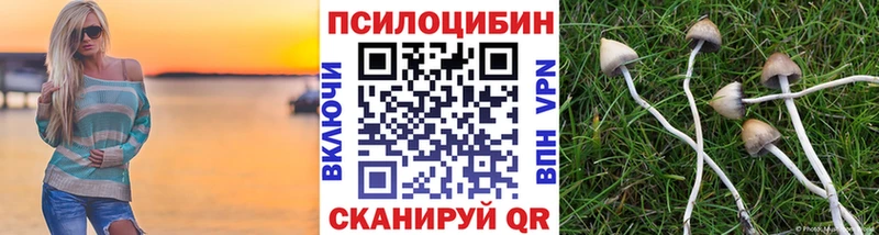 цены наркотик  Жиздра  Псилоцибиновые грибы мухоморы 